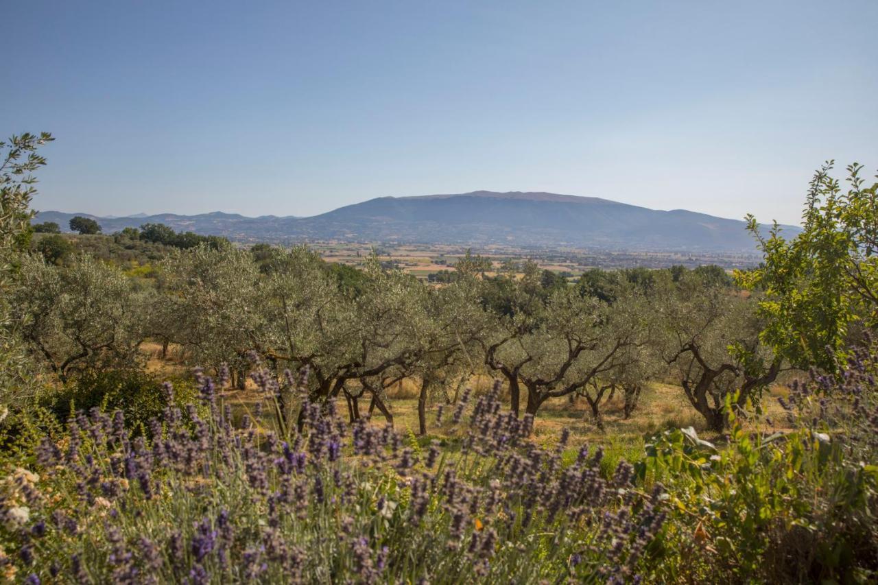 Villa Colle Di Rocco Limigiano Екстериор снимка