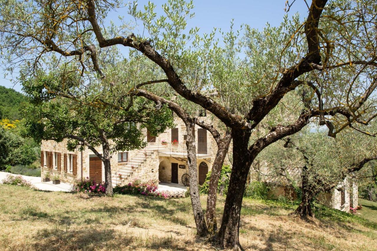 Villa Colle Di Rocco Limigiano Екстериор снимка
