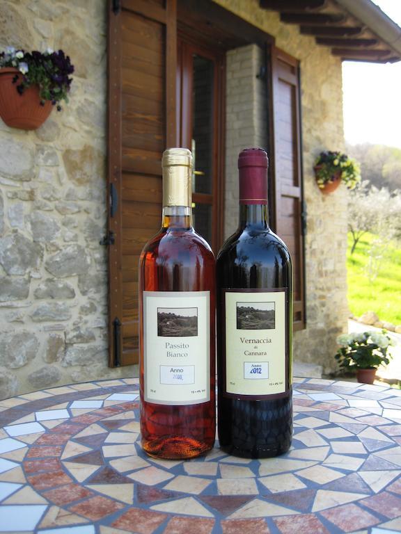Villa Colle Di Rocco Limigiano Екстериор снимка